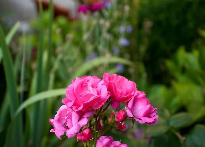 アパート Ginkgo By Interhome ドレスデン