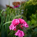 Appartamento Ginkgo By Interhome Dresda