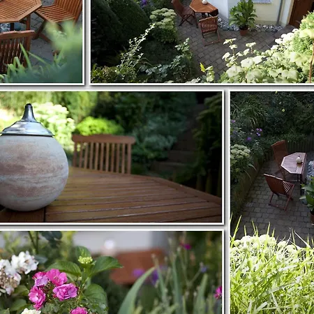 Ginkgo By Interhome Dresden