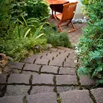 Ginkgo By Interhome